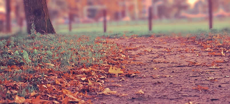 {{this.featured_image_alt}}