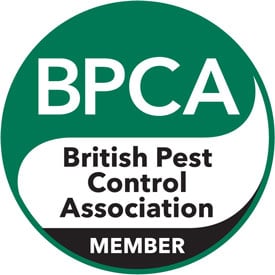 Protect Your Property: Know Your Pests
