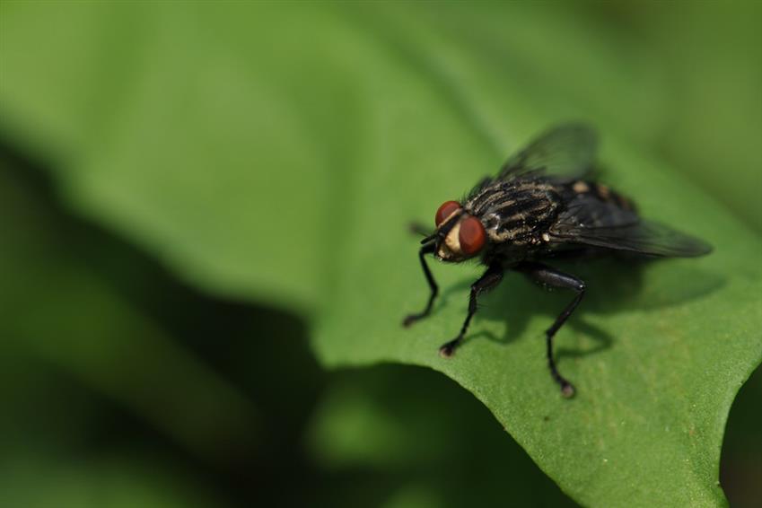 Call the Professionals - Save Time and Money