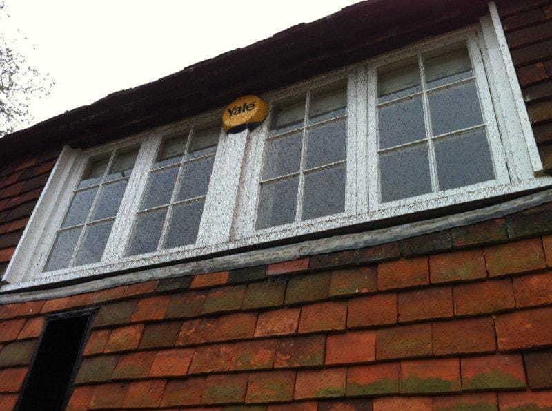 Pest control consulting for building sites