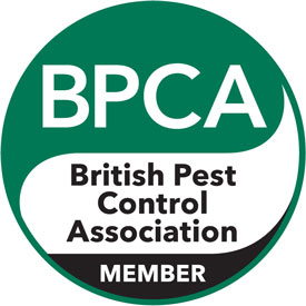Protect Your Property: Know Your Pests