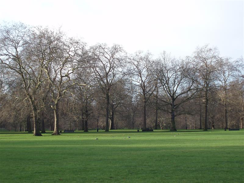 Pest Control Services Gearing Up for New Aluminium Phosphide Rules