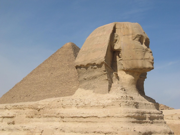 Weather Has Created Perfect Recipe for Pharaoh Ants