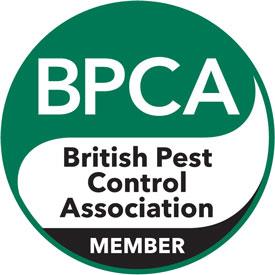 How to choose a pest controller in Reading