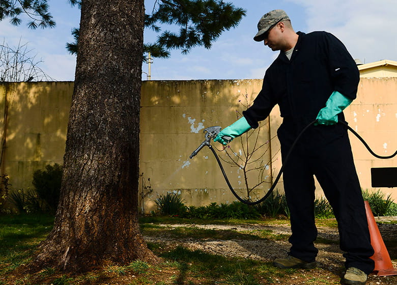 Rid & Relieve Your Space of Infestation With Affective Pest Control